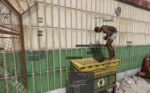 arcane-rust-cheats