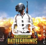 rpubg-basic